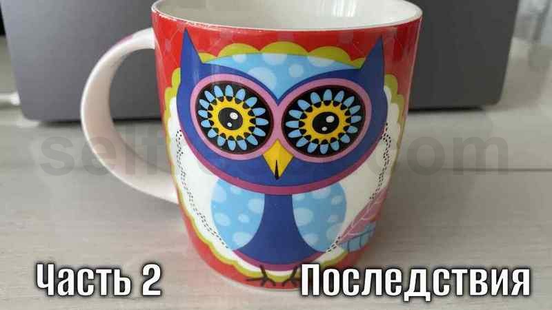 Как найти любимое дело в жизни